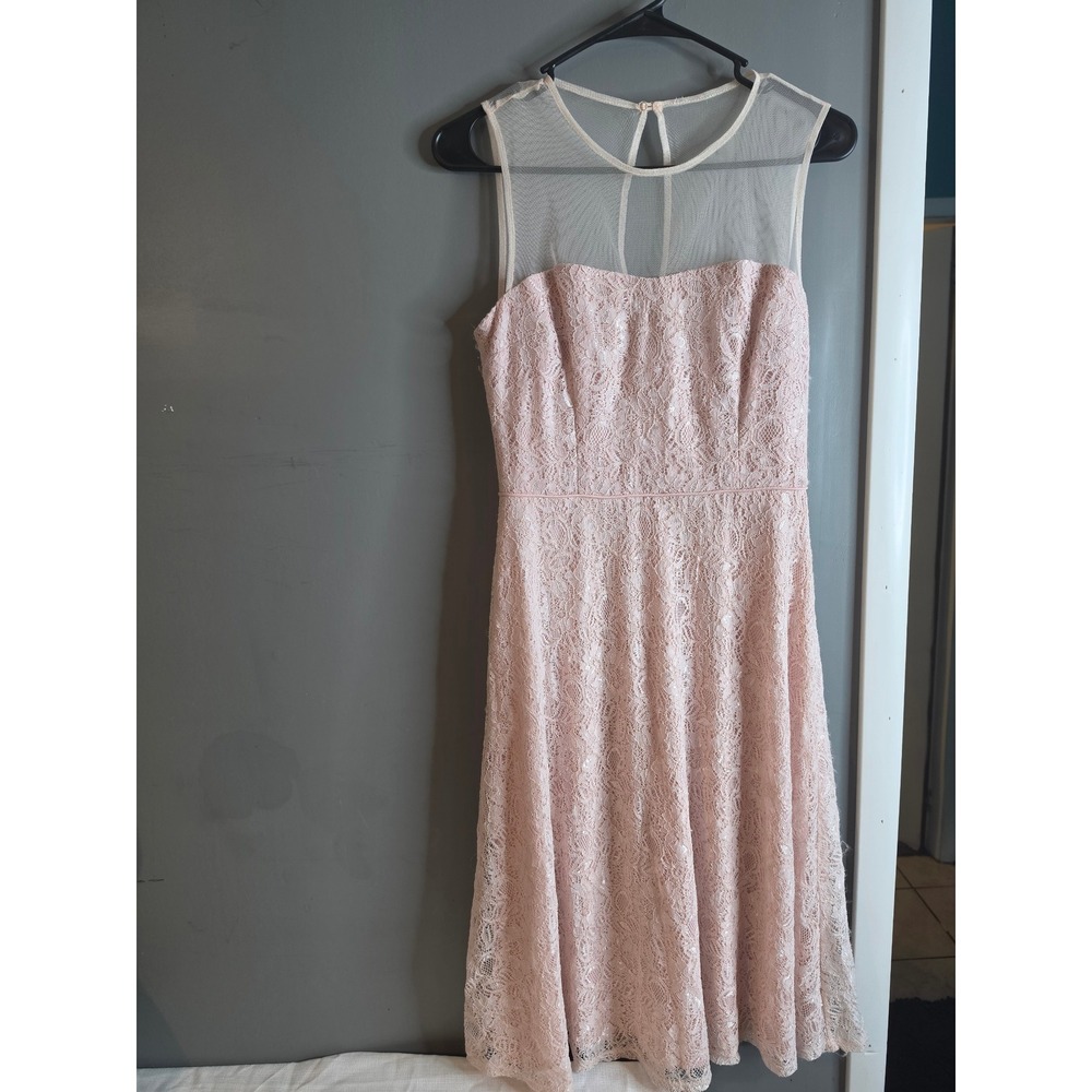 Maggy London Blush Pink Lace Illusion Mesh Neck Sequin A-Line Dress Size 6